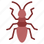 ant, species, community, reproduction, insect, queen, food chain, lifecycle, forager 