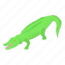 green, crocodile, isometric
