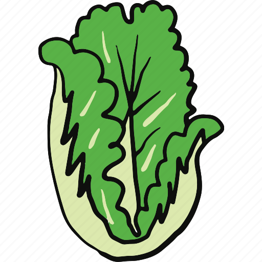Green, vegetables, vegetarian, food, organic, natural, vegan icon - Download on Iconfinder