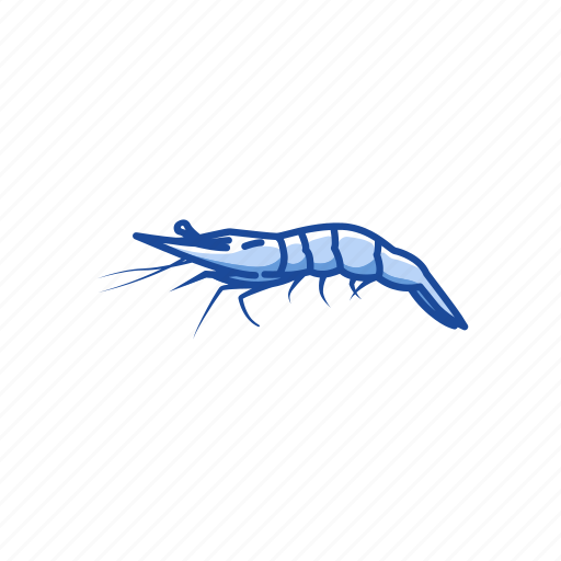 Animal, food, king prawn, sea creature, shrimp, sushi, whiteleg shrimp icon - Download on Iconfinder