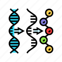 gene, expression, cryptogenetics, dna, helix, genetic