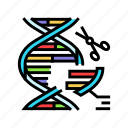 genome, editing, cryptogenetics, dna, gene, helix