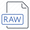 extension, file, raw unprocessed data, format