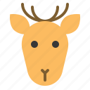 animal, deer, face, head, wild, zoo
