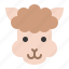 alpaca, animal, face, head, llama, zoo 