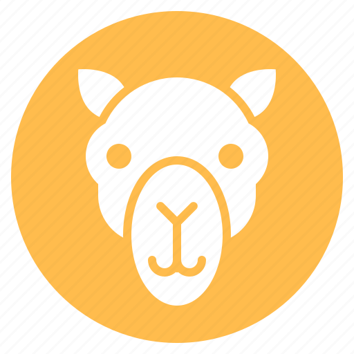 Animal, camel, face, head, zoo icon - Download on Iconfinder