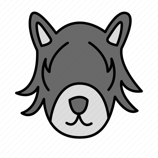 Animal, face, donkey, cute, wild animal, carnivore, mammals icon - Download on Iconfinder