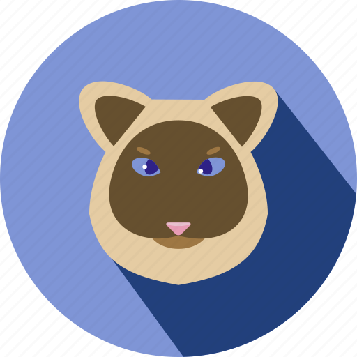Animal, cat, cute, pet icon - Download on Iconfinder