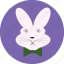 bunny, cute, rabbit, rabbit icon, rabbit symbol, cartoon, easter 