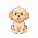 goldendoodle, cute, puppy, dog, breed, chibi, kawai, cartoon, avatar