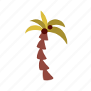 palm, icon, coconut, tree, hand drawn