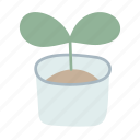 plant, pot, leaf, decorative, houseplant