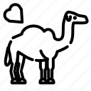 cute, lovely, pet, animal, camel