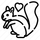 cute, lovely, pet, animal, squirrel