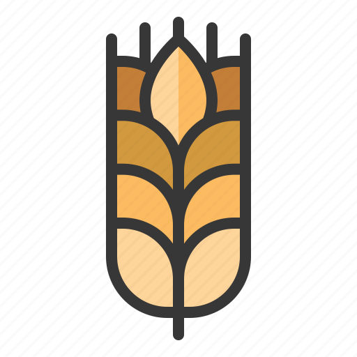 Barley, food, grain, oktoberfest, organic, rice, wheat icon - Download on Iconfinder