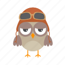 aviator, hat, glasses, flat, icon, owl, funny, element, bird