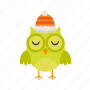 hat, winter, green, flat, icon, owl, funny, element, bird
