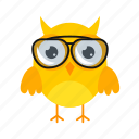 glasses, yellow, cartoon, accessory, flat, icon, owl, funny, element