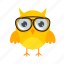 glasses, yellow, cartoon, accessory, flat, icon, owl, funny, element 