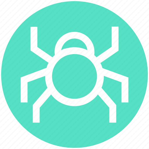 Bug, cyber, insect, security, virus, vulnerable icon - Download on Iconfinder