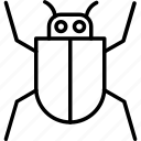 animal, bugin, sect, code, debug, bug, ant, fly, nature