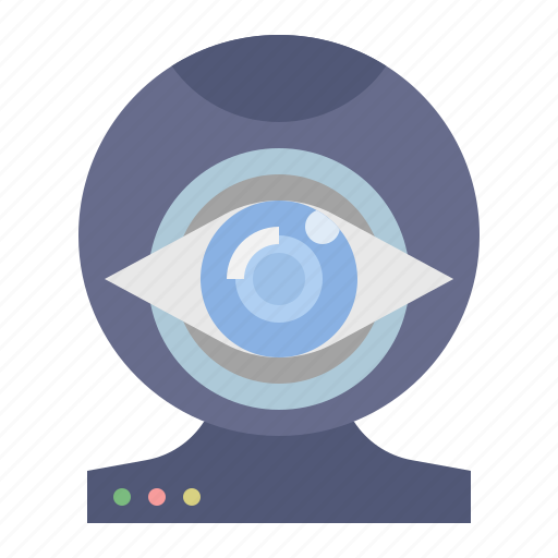Observe, watch, cyberbullying, monitor, catch icon - Download on Iconfinder