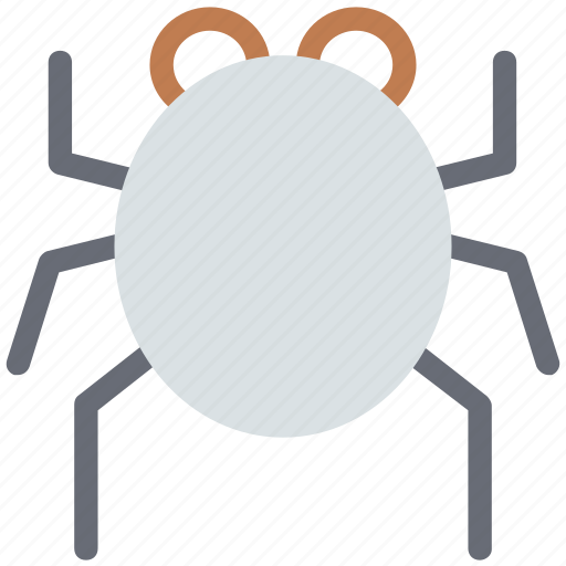 Bug, bug in database, bug in pc, erro animal, error, firebug, insect icon - Download on Iconfinder