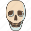 skull, head, death, creepy, horror 