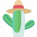 cactus, desert, maxico, succulent, plant