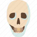 skull, head, death, creepy, horror