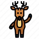 deer, animal, wildlife, zoo, reindeer