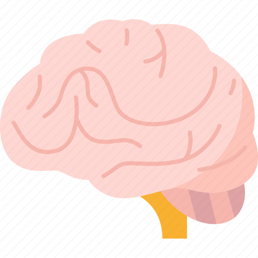 Brain, human, neurology, memory, mental icon - Download on Iconfinder
