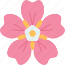 flower, forget, not, represent, dementia
