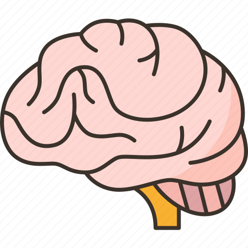 Brain, human, neurology, memory, mental icon - Download on Iconfinder
