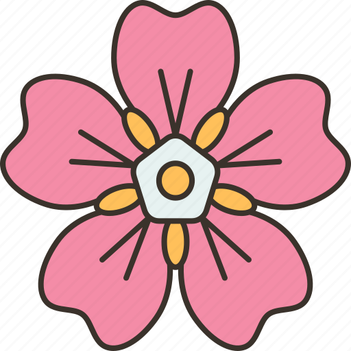 Flower, forget, not, represent, dementia icon - Download on Iconfinder