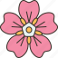 flower, forget, not, represent, dementia 