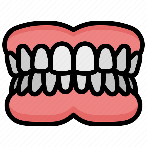 Denture, healthcare, and, medical, handicapped, disabled, assistance icon - Download on Iconfinder