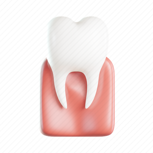 Molar, dental care, dentist, tooth, medical, healthcare 3D illustration - Download on Iconfinder