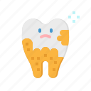 dental, dentist, healthcare, plaque, tooth