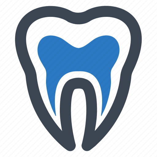 Anatomy, canal, root, tooth icon - Download on Iconfinder