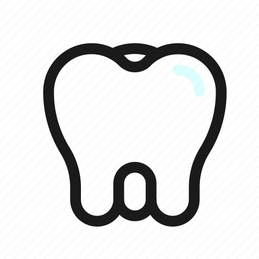 Teeth, tooth, dental, molar, dentist, dentistry, healtcare icon - Download on Iconfinder