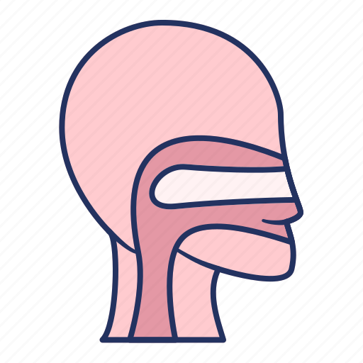 Throat, face, human, people, care icon - Download on Iconfinder