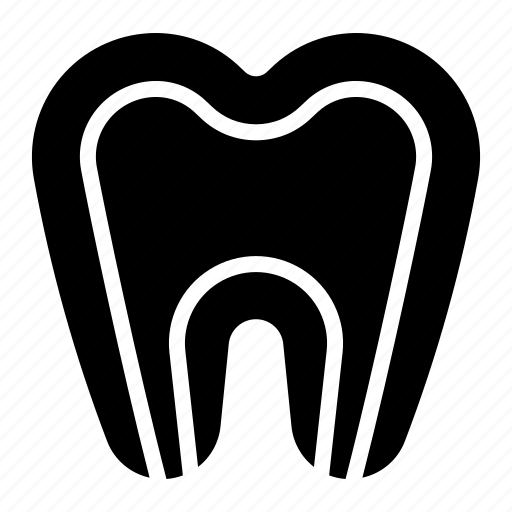 Anatomy, canal, root, structure, tooth icon - Download on Iconfinder
