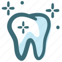 bright, clean, dental, dental care, dentist, tooth, white tooth