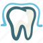dental, dentist, enamel, enamel teeth, medical, protection, tooth 