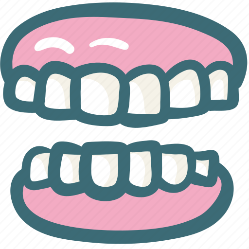 Dental, dentist, dentistry, denture, gums, medical, tooth icon - Download on Iconfinder