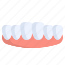 dental, care, dentistry, hygiene, treatment, orthodontic, anatomy, porcelain, false teeth
