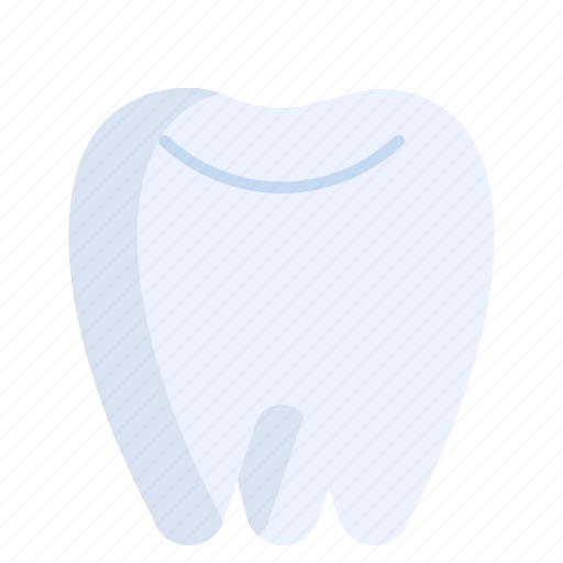 Dental, care, molar, dentist, teeth, health, medical icon - Download on Iconfinder