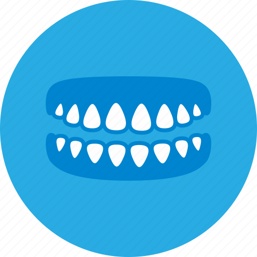 Dental, dental clinic, dentist, dentures, health care icon - Download on Iconfinder
