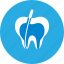canals, dental, dental clinic, dentist, health care, root 